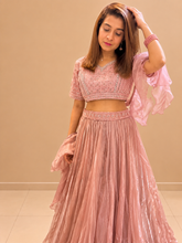 Kiran Raj Blush Crinkle Tissue Lehenga Choli