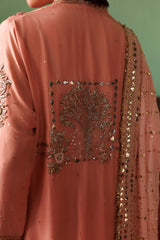 Peach raw silk outfit