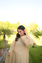 Dusty Beige Pure Khadi Net Nutfit