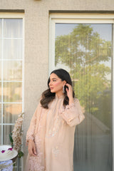 Peach Raw Silk Outfit