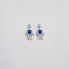 [A]E491 Earrings