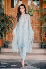 Aqua Organza Outfit