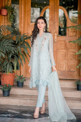 Aqua Organza Outfit