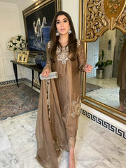 Chocolate brown shirt