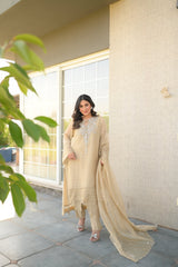 Dusty Beige Pure Khadi Net Nutfit