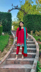 Red Karandi Raw Silk Shirt with Embroidery