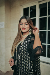 Black Chiffon-Luxury Pret.