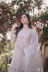 Pink Pure Organza outfit