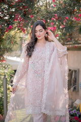 Pink Pure Organza outfit