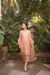 Rose Pink Organza 3 PC