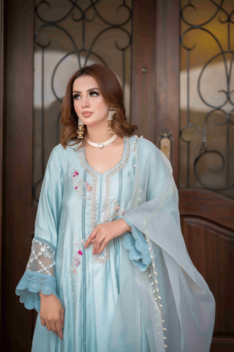 Powder Blue Cotton Resham Pashwas 2pc