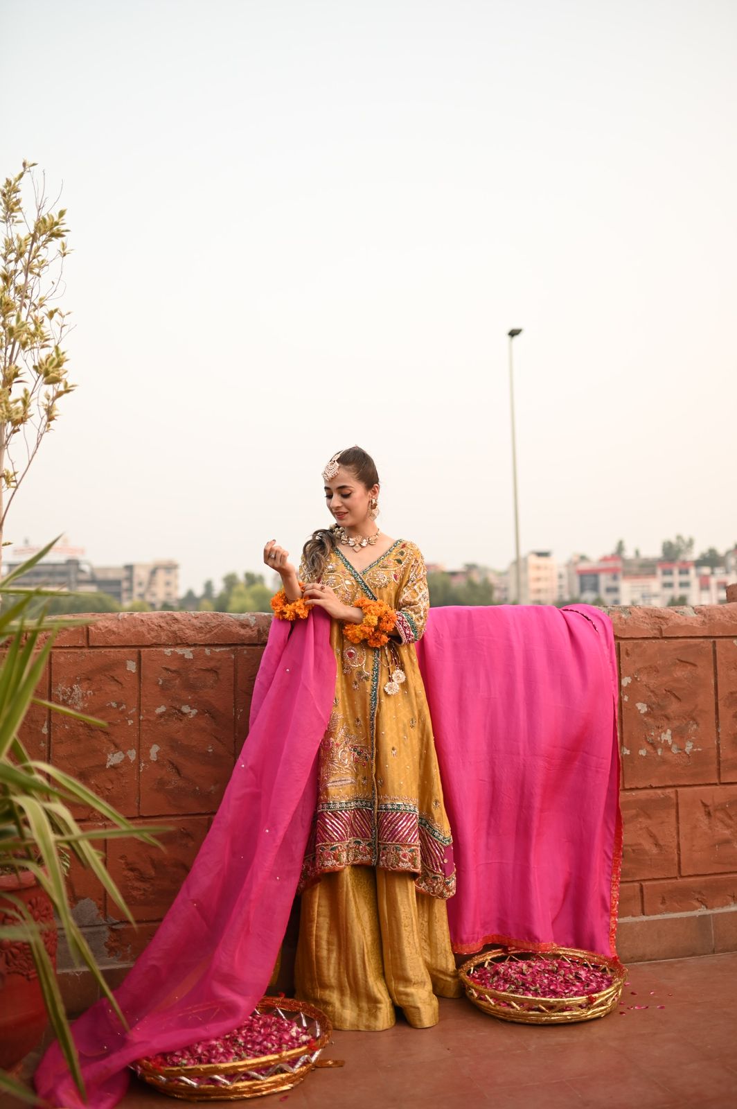 MUSTARD YELLOW ANGARKHA