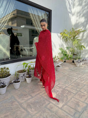 Laleh Rouge CBR 137 red tussar silk embroidered 3 piece suit by Celine by Rumi available at Labels Islamabad